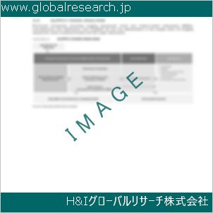 グローバルリサーチ調査資料のイメージ